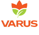 Varus